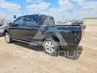 2020 Ford F-150 фото