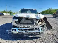 2020 Ford F-150 photo