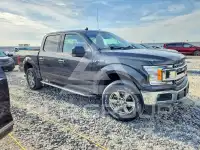 2020 Ford F-150 фото