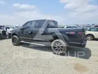 2020 Ford F-150 фото