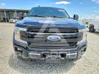 2020 Ford F-150 photo