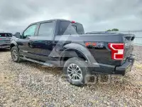 2020 Ford F-150 фото