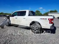 2020 Ford F-150 photo