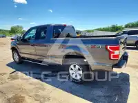 2020 Ford F-150 photo