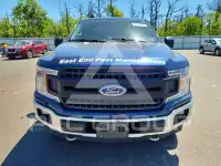 2020 Ford F-150 photo