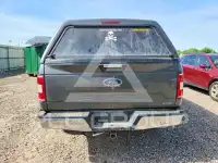 2020 Ford F-150 фото