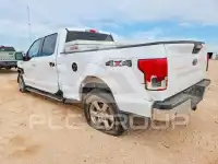 2020 Ford F-150 фото