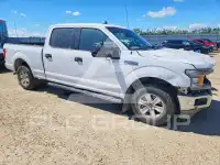 2020 Ford F-150 фото