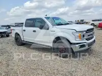 2020 Ford F-150 фото