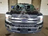 2020 Ford F-150 photo