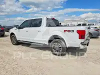 2020 Ford F-150 photo
