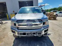 2020 Ford F-150 photo