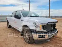 2020 Ford F-150 фото