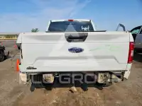 2020 Ford F-150 фото
