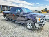 2020 Ford F-150 фото
