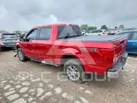 2020 Ford F-150 фото