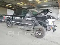 2020 Ford F-150 photo