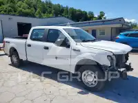 2020 Ford F-150 фото