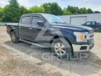 2020 Ford F-150 фото