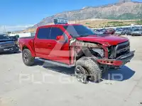 2020 Ford F-150 photo