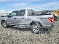 2020 Ford F-150 фото