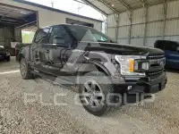 2020 Ford F-150 фото