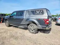 2020 Ford F-150 фото