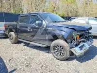 2020 Ford F-150 photo