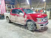 2020 Ford F-150 фото