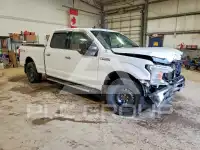 2020 Ford F-150 фото