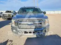 2020 Ford F-150 фото