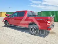 2020 Ford F-150 фото