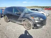 2020 Ford ESCAPE фото