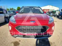 2020 Ford ESCAPE photo