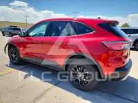 2020 Ford ESCAPE фото