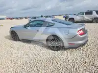 2020 Ford MUSTANG photo