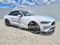 2020 Ford MUSTANG фото