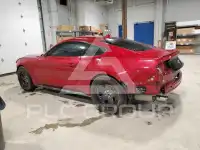 2020 Ford MUSTANG фото