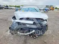 2020 Ford MUSTANG фото