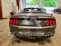 2020 Ford MUSTANG photo