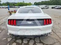 2020 Ford MUSTANG фото