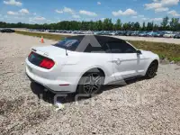 2020 Ford MUSTANG фото