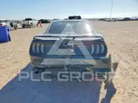 2020 Ford MUSTANG photo