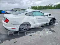 2020 Ford MUSTANG photo