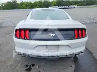 2020 Ford MUSTANG photo