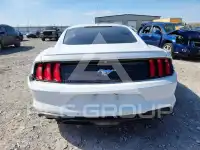 2020 Ford MUSTANG photo