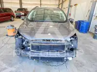 2020 Ford Eco Sport фото