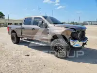 2020 Ford F-250 photo