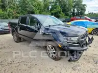 2020 Ford RANGER фото