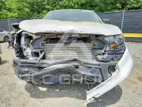 2020 Ford RANGER фото